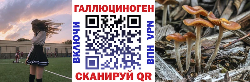 Галлюциногенные грибы мицелий  это телеграм  Сорочинск 